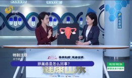 韩网电台爆料新闻视频,最新新闻视频内容大揭秘