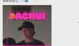 刘大锤爆料真实的视频,揭秘真实视频背后的惊人真相